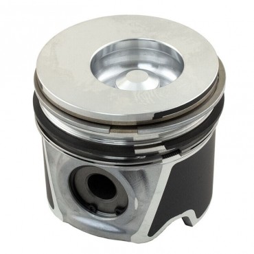 PISTON CU SEGMENTI 8094740