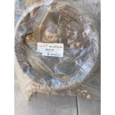 PISTON CASE ZF 8603165